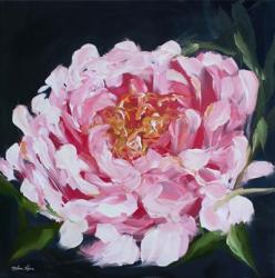 Peony II | Obraz na stenu