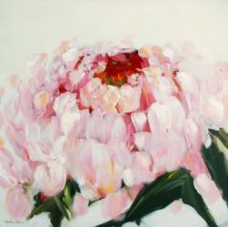 Peony | Obraz na stenu