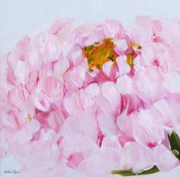 Peony II | Obraz na stenu