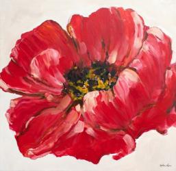 Red Poppy | Obraz na stenu