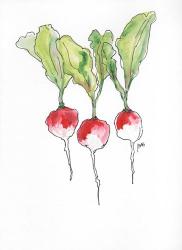 Radishes | Obraz na stenu