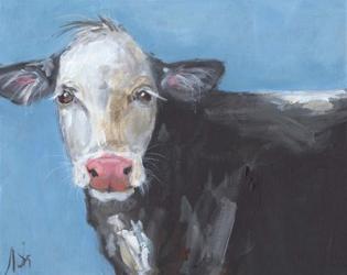 Tommy the Cow | Obraz na stenu