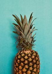 Blue Pineapple | Obraz na stenu