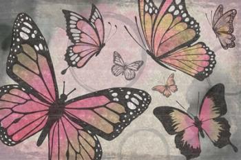 Butterflies I | Obraz na stenu