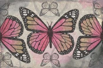 Butterflies II | Obraz na stenu