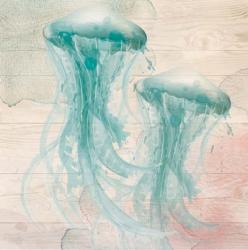 Jellyfish | Obraz na stenu