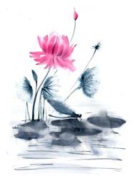 Pink Flower and a Lily Pad | Obraz na stenu