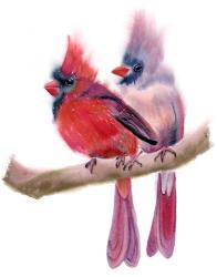 Cardinal Couple | Obraz na stenu