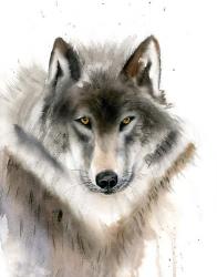 Wolf II | Obraz na stenu