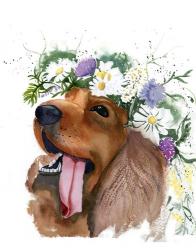 Flower Crown Puppy II | Obraz na stenu