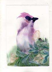 Purple Bird | Obraz na stenu