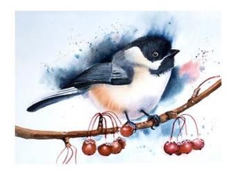 Chickadee | Obraz na stenu