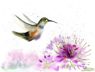 Hummingbird | Obraz na stenu