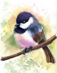 Chickadee II | Obraz na stenu