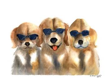 Dogs in Glasses | Obraz na stenu