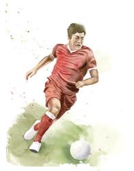 Soccer Player | Obraz na stenu