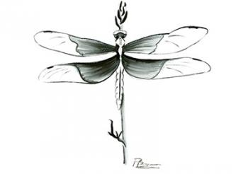 Dragonfly | Obraz na stenu