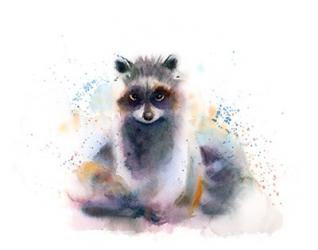 Raccoon | Obraz na stenu