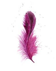 Pink Feather | Obraz na stenu