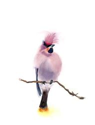 Pink Bird | Obraz na stenu