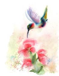 Red Flower Hummingbird | Obraz na stenu