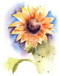 Sunflower I | Obraz na stenu