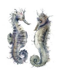 Seahorse Pair | Obraz na stenu