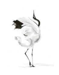 Dancing Bird I | Obraz na stenu