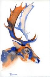 Colorful Caribou | Obraz na stenu