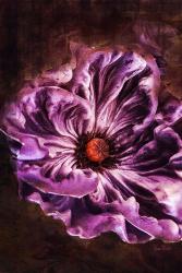 Royal Purple | Obraz na stenu