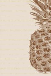 Right Side Pineapple | Obraz na stenu