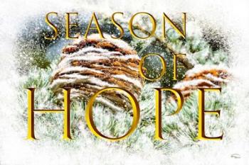 Season of Hope | Obraz na stenu