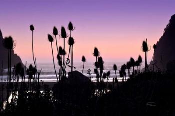 Beach Twilight I | Obraz na stenu