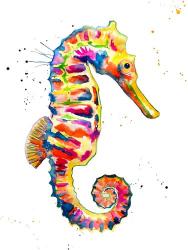 Sea Horse | Obraz na stenu