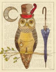 Steampunk Owl I | Obraz na stenu