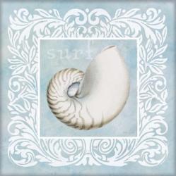 Sandy Shells Blue on Blue Nautilus | Obraz na stenu