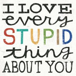 I Love Every Stupid Thing About You | Obraz na stenu