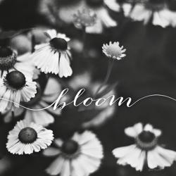 Bloom | Obraz na stenu