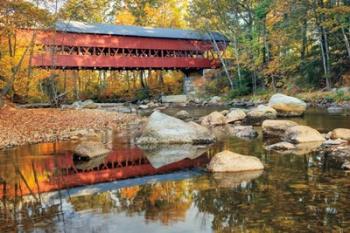 Swift River Covered Bridge | Obraz na stenu