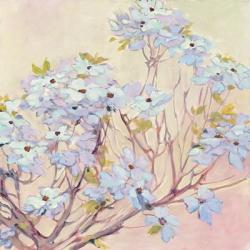 Spring Dogwood II | Obraz na stenu