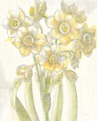 Belle Fleur Yellow IV Crop | Obraz na stenu
