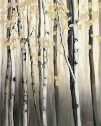 Golden Birch II | Obraz na stenu