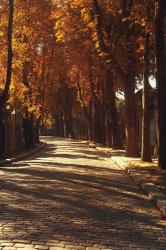 Pere La Chaise | Obraz na stenu