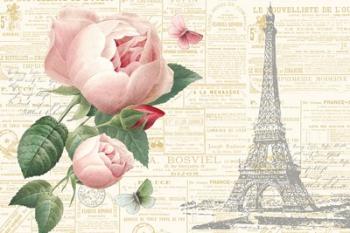 Roses in Paris II | Obraz na stenu
