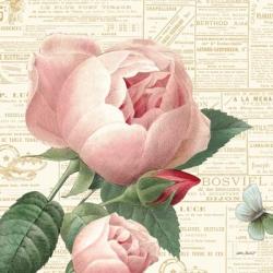 Roses in Paris V | Obraz na stenu