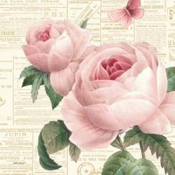 Roses in Paris VI | Obraz na stenu