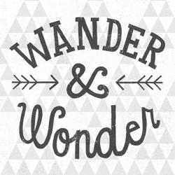 Mod Triangles Wander and Wonder | Obraz na stenu