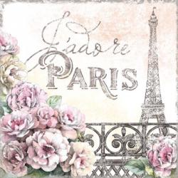 Paris Roses III | Obraz na stenu