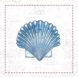 Navy Scallop Shell on Newsprint with Red | Obraz na stenu