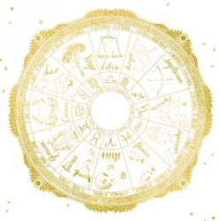 Night Sky Zodiac White and Gold | Obraz na stenu